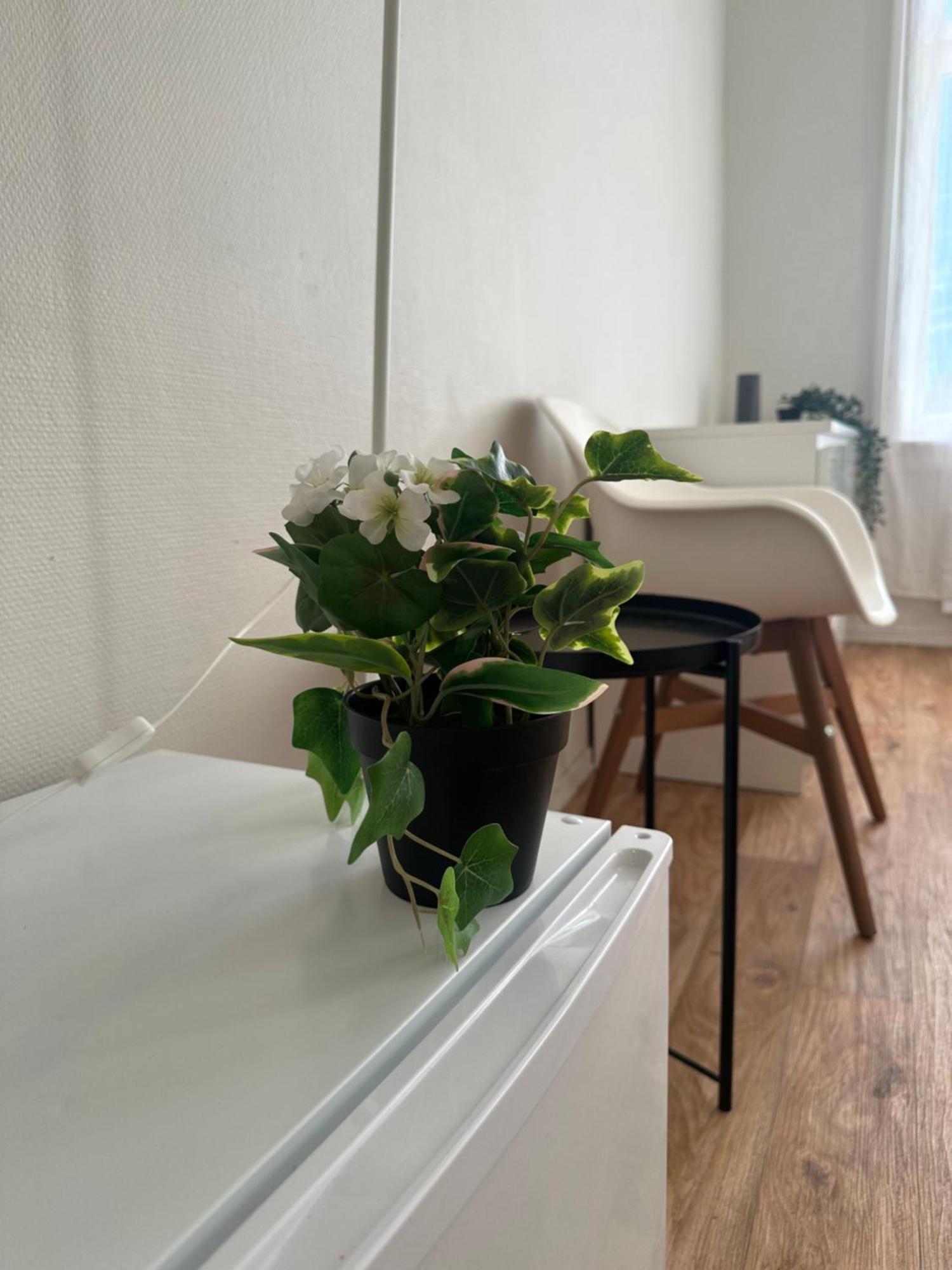 The Bloom Apartments 奥斯陆 外观 照片